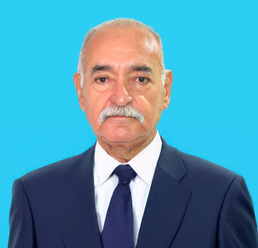 Ing. Fernando Ibañez C.
